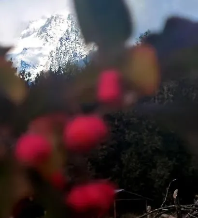 Mlyn Tatry