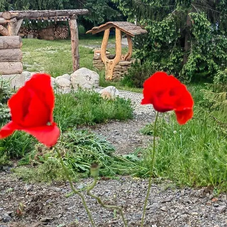 Mlyn Tatry * Veľký Slavkov