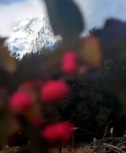 Mlyn Tatry